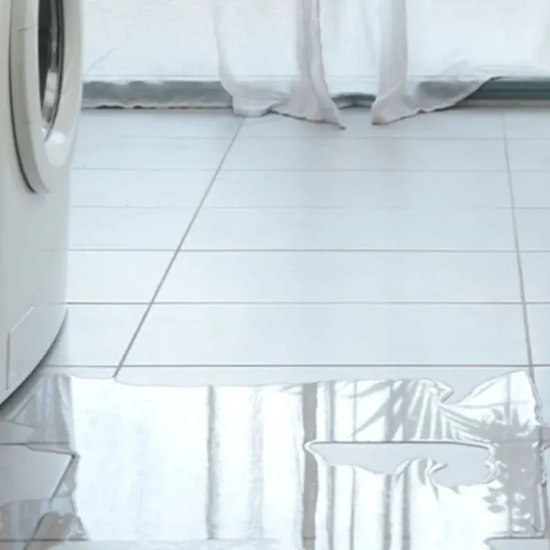 Appliance Leak Cleanup in Kalama, WA